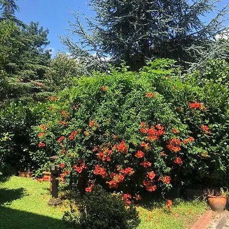 Villa Buanes, SAPPHİRE VİLLA Villa